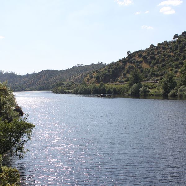Plano de Bacia Hidrográfica do Rio Tejo
